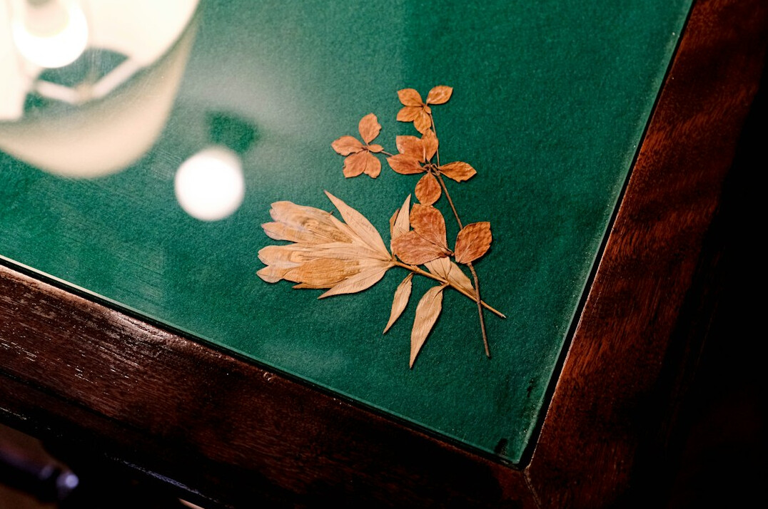 Vintage postcards laid out on a table