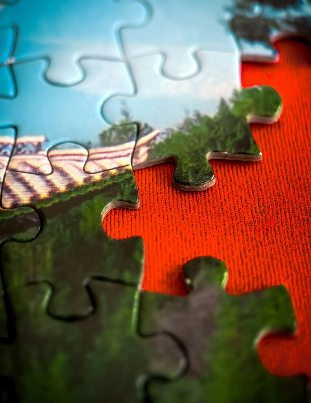 Jigsaw puzzle partially assembled on a table