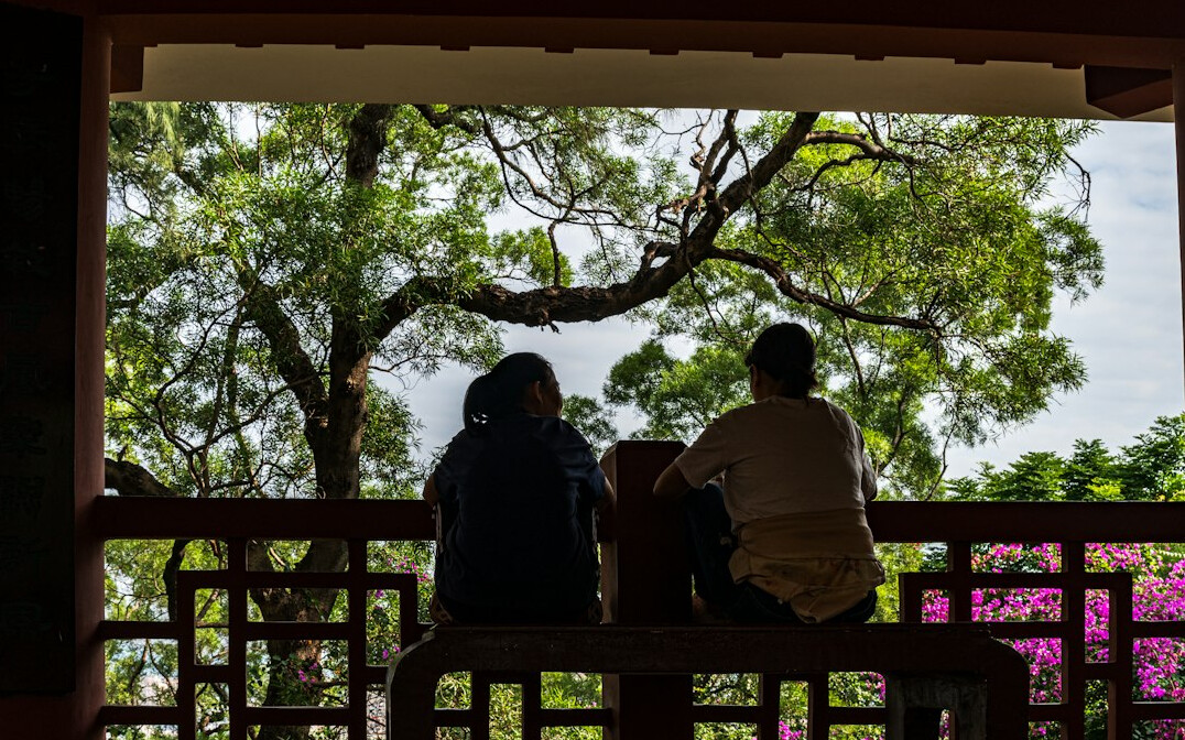 relaxed person sitting in garden