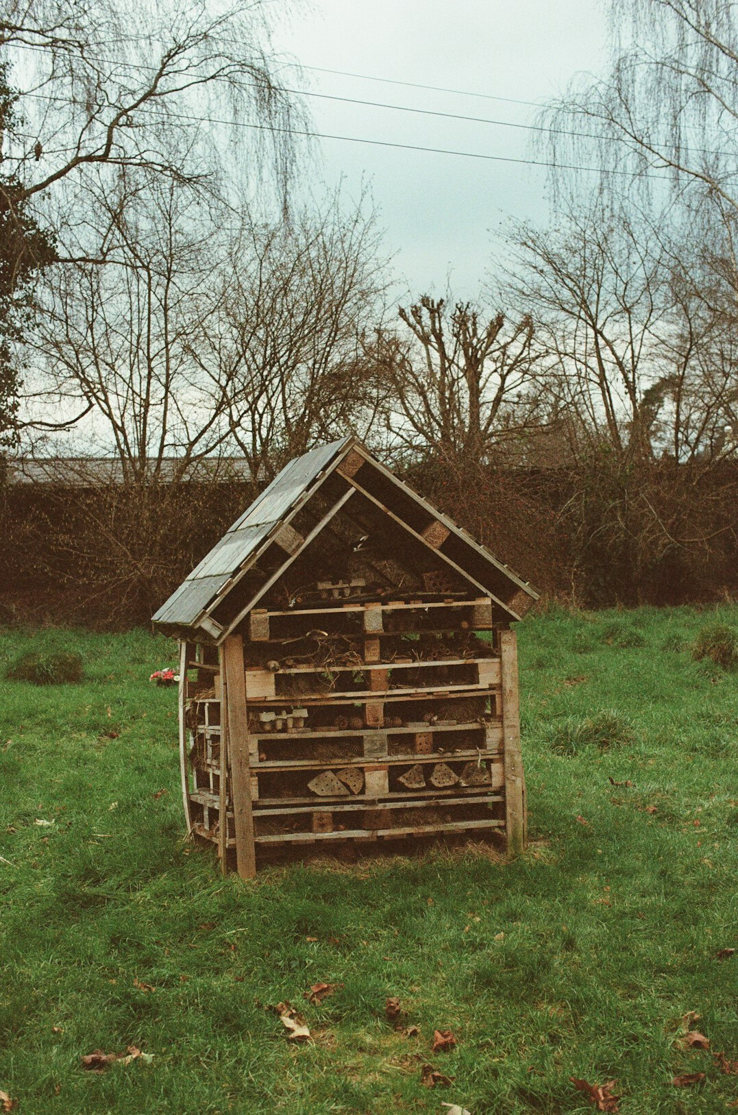 wooden beehive in garden