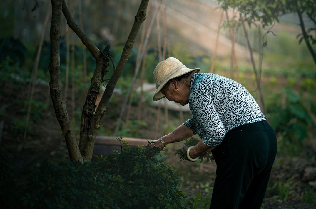 person using traditional gardening tools